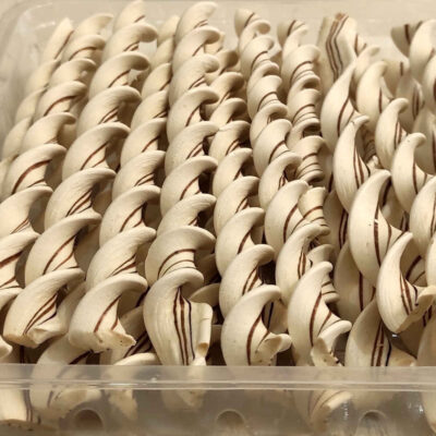 Abnabat Mashadi – Persian Ginger Flavored Candy 800 Gram
