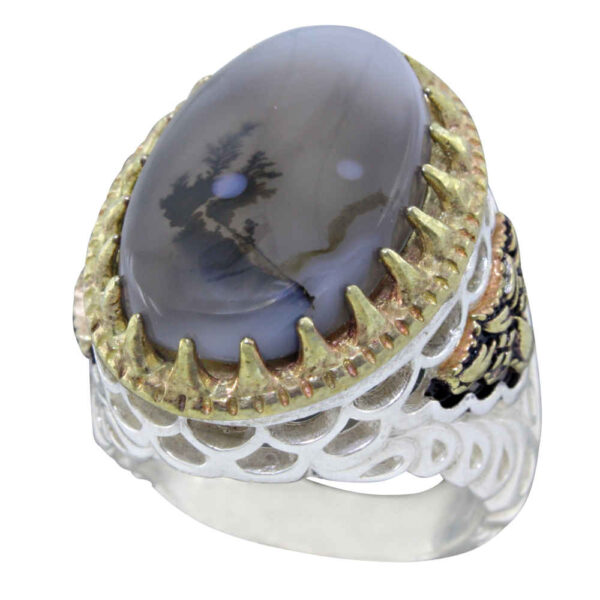 Persian Dendritic Agate Shajar Silver Ring for Men Ahmad