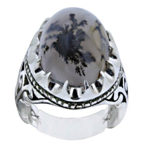 Shajar Agate Men’s Silver Ring Model Ramin