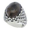 Persian Dendritic Agate Shajar Silver Ring for Men Sina
