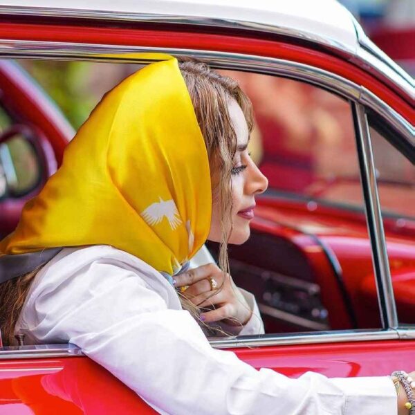 Silk Mini Scarf for Women - Artistic Print Luxe & Vibrant Design Azadi