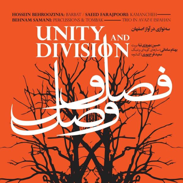Unity & Division Music Album by Various Artists
