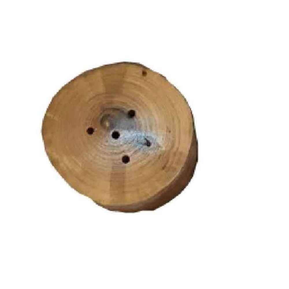 Set of Wooden Salt & Pepper Shakers Adelia