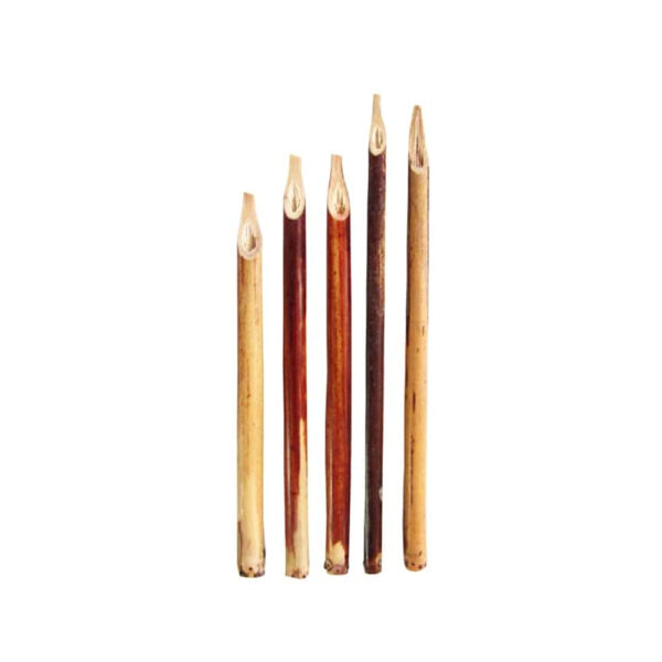 Dezfuli Qalam Reed Pens for Persian, Arabic and Islamic Calligraphy