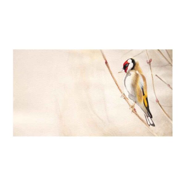 Original Realism Art Painting - Oil on Cardboard, Bird