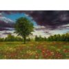 Original Painterly Art Painting - Oil on Cardboard Landscape Spring