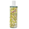 Parjak Olive Shampoo for All Hair Types - Hydrating & Nourishing (Pack of 4)