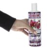 Parjak Pomegranate Shampoo for All Hair Types - Antioxidant Rich & Nourishing (Pack of 4)
