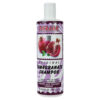 Parjak Pomegranate Shampoo for All Hair Types - Antioxidant Rich & Nourishing (Pack of 4)