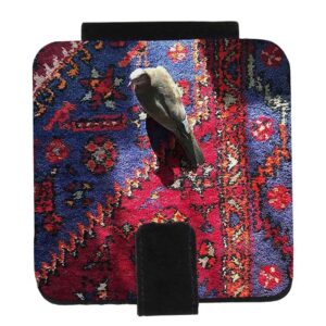 Pocket Mirror with Persian Inspired Kabotar Motif