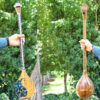 Handcrafted Iranian Setar by Iransaz, Model Azadeh (Professional)