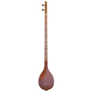 Persian Hesam Malekshahi Setar Instrument