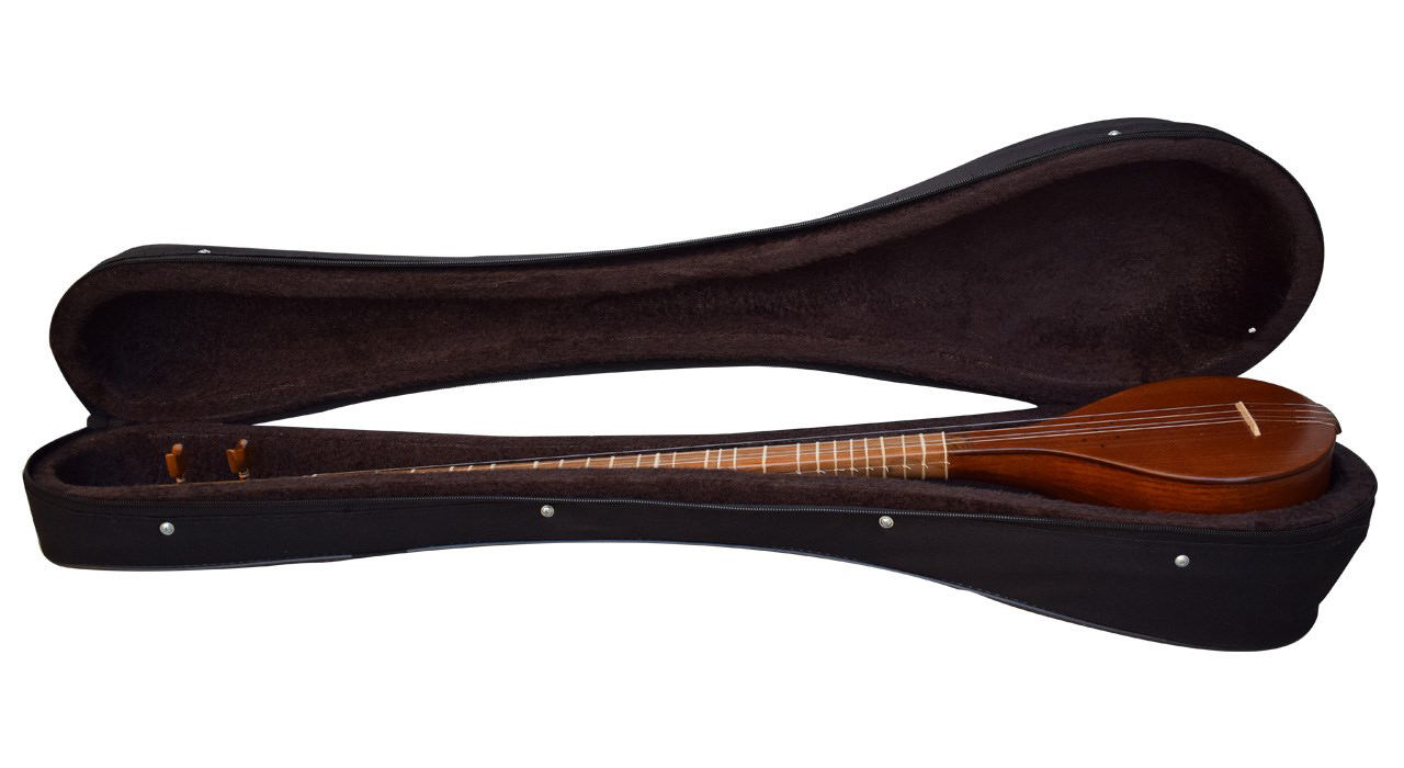 Intermediate Persian Setar by Hesam Malekshahi