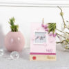 1402 Persian Mini Desk Calendar Model Mother Day