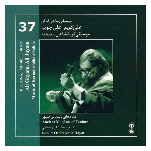 Ali  Guyam Ali Juyam Music Album by Amir Hayati
