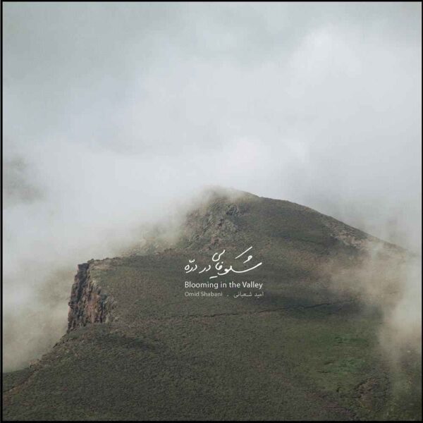 Blooming In The Valley Album by Omid Shabani