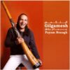 Gilgamesh Music Album by Peyman Ronagh