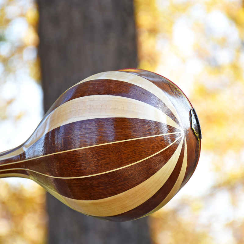 Persian Setar by Iransaz, Model Eshgh-e To (High-Quality)