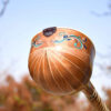 Professional Persian Setar – Model Farhan by Iransaz