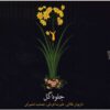Jelveh Gol Music Album by Alireza Ghorbani