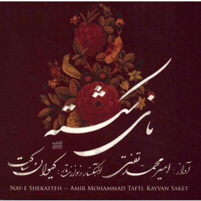 Naye Shekasteh Album by Amir Mohammad Tafti