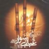 Stray Dust Music Album by Zakaria Yousefi