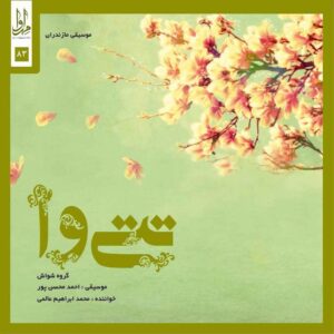 Teti Va Music Album by Mohammad Ebrahim Alami