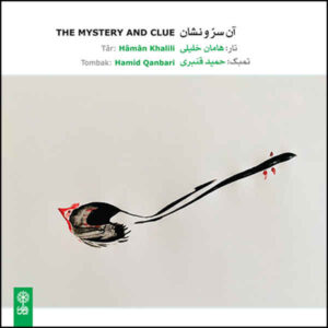 The Mystery & Clue Album by Haman Khalili