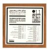 The Sound of Distorted Album by Mani Jafar Zadeh