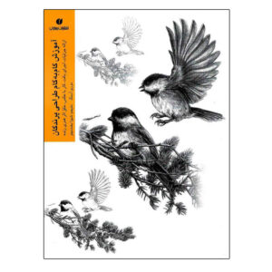 Drawing Birds Book by Maury Aaseng (Farsi)