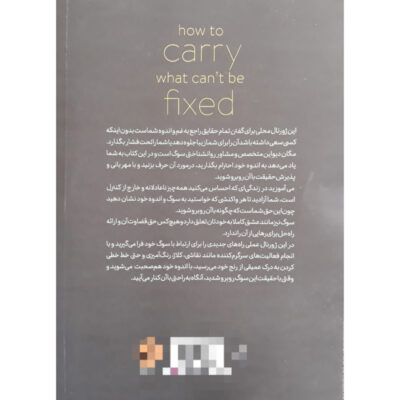 How to Carry What Can’t Be Fixed by Devine Megan (Farsi)