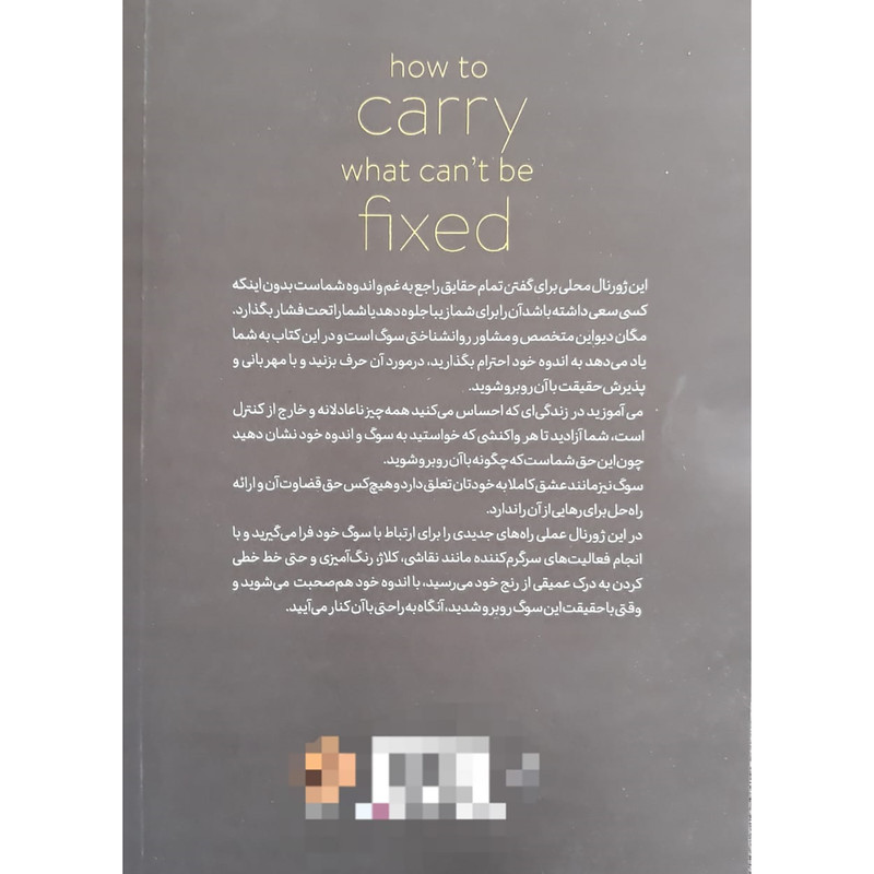 How to Carry What Can’t Be Fixed by Devine Megan (Farsi)