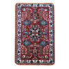 Indoor Doormat for Home Decor – Non-Slip Persian-Inspired Arghavan