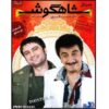 Shahgoosh 20 Iranian Television Series