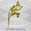 The Third Eye Music Album by Daryush Dolatshahi