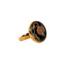 Steel Signet Ring with Agate Resin Covered and Gold Plated Pomegranate Symbol