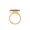 Steel Signet Ring with Lapis Resin Covered and Gold Plated Cheshm Symbol