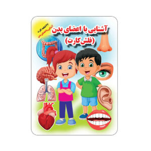 Educational Farsi Flashcards Learning Body Parts