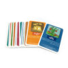 Persian Jaliz Playing Card Game