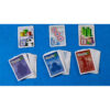 Takenoko Board Game (Farsi)