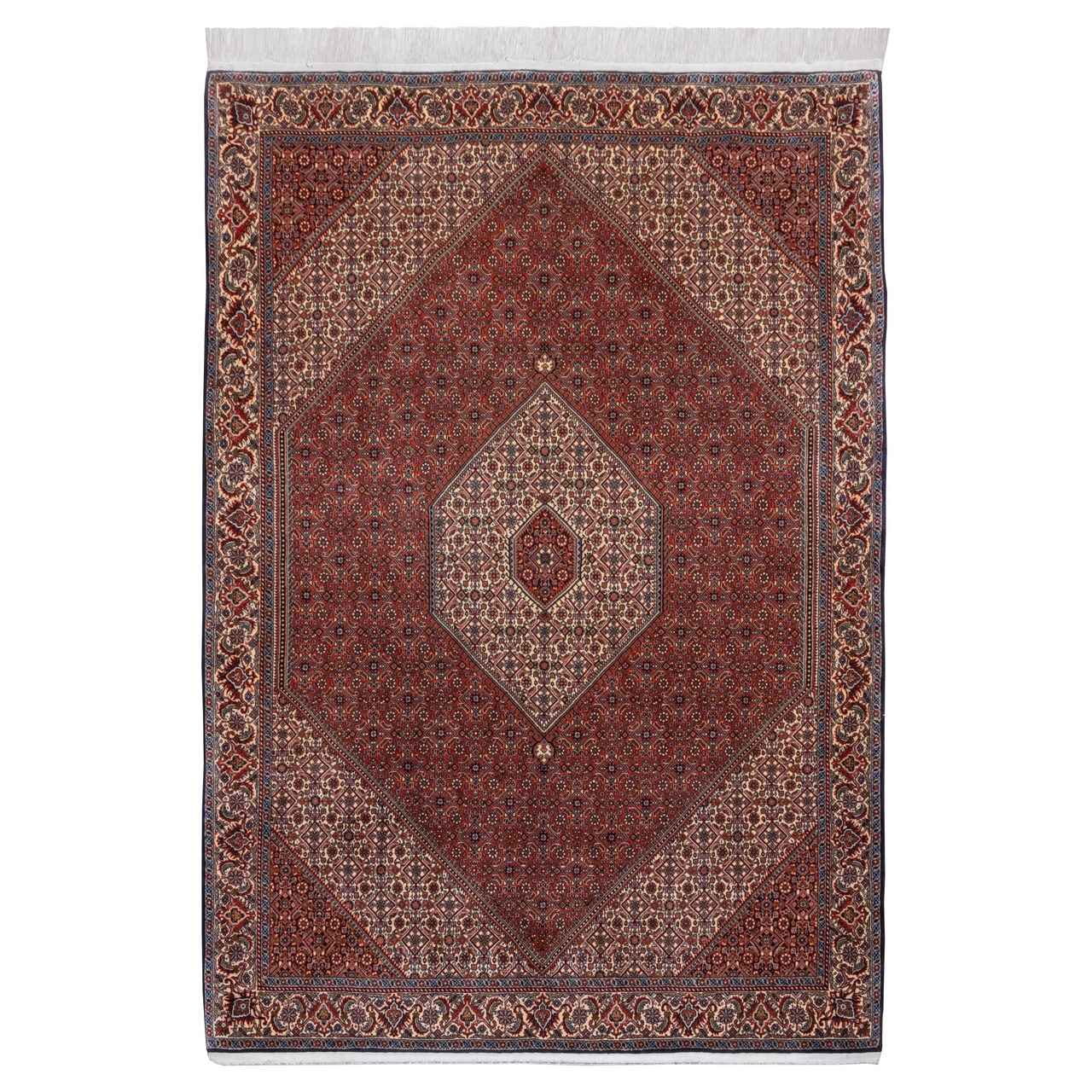 Persian Carpet Hand-Knotted Zanjan Masterpiece in Kork Wool Reyhan