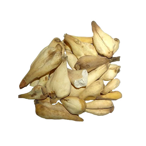 Dried Suranjan Sweet Colchicum - 100g Premium Herbal Remedy