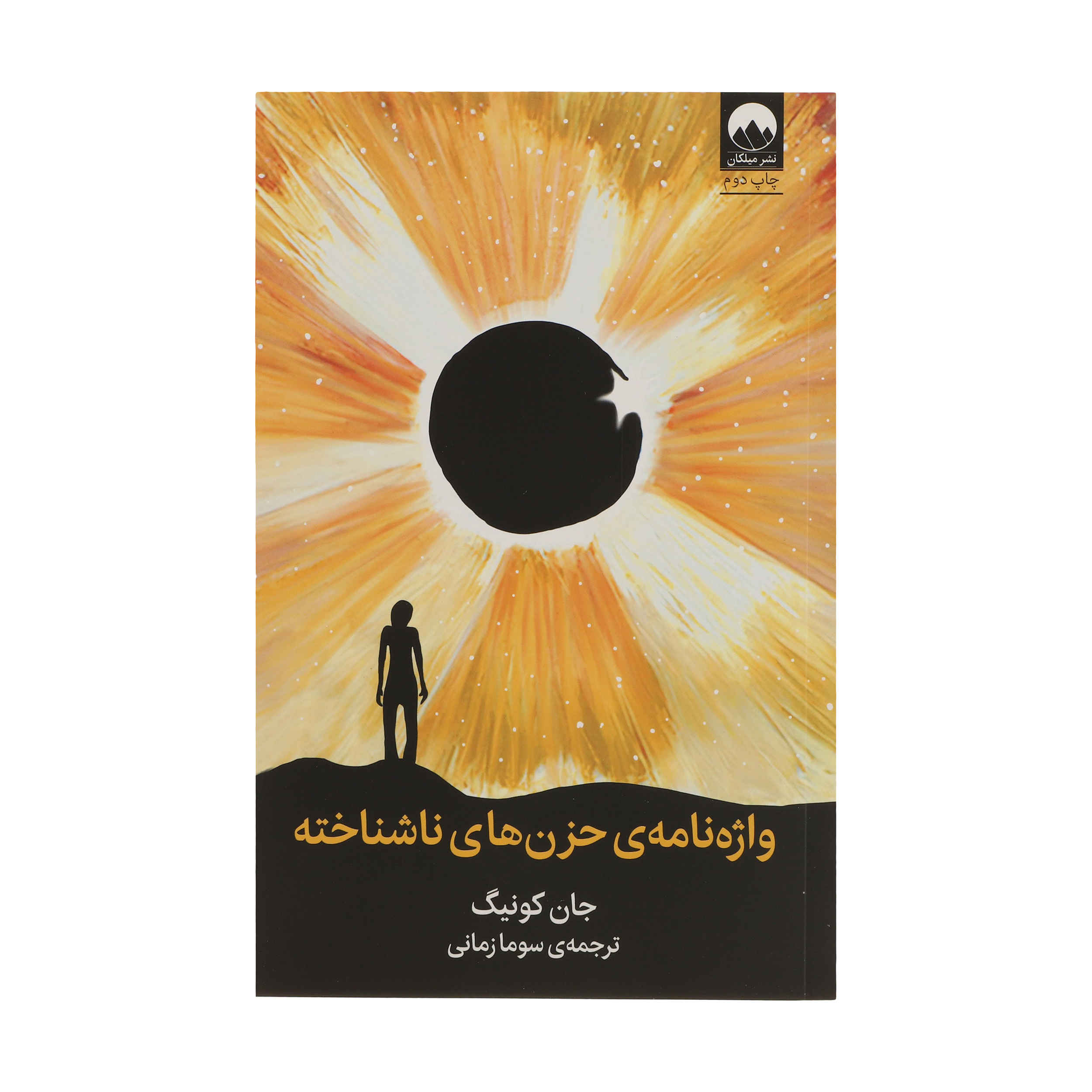 The Dictionary of Obscure Sorrows Book (Farsi)