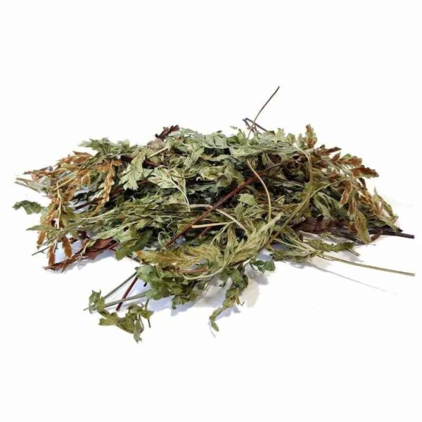 Organic Dried Maidenhair Fern Leaves - 500g