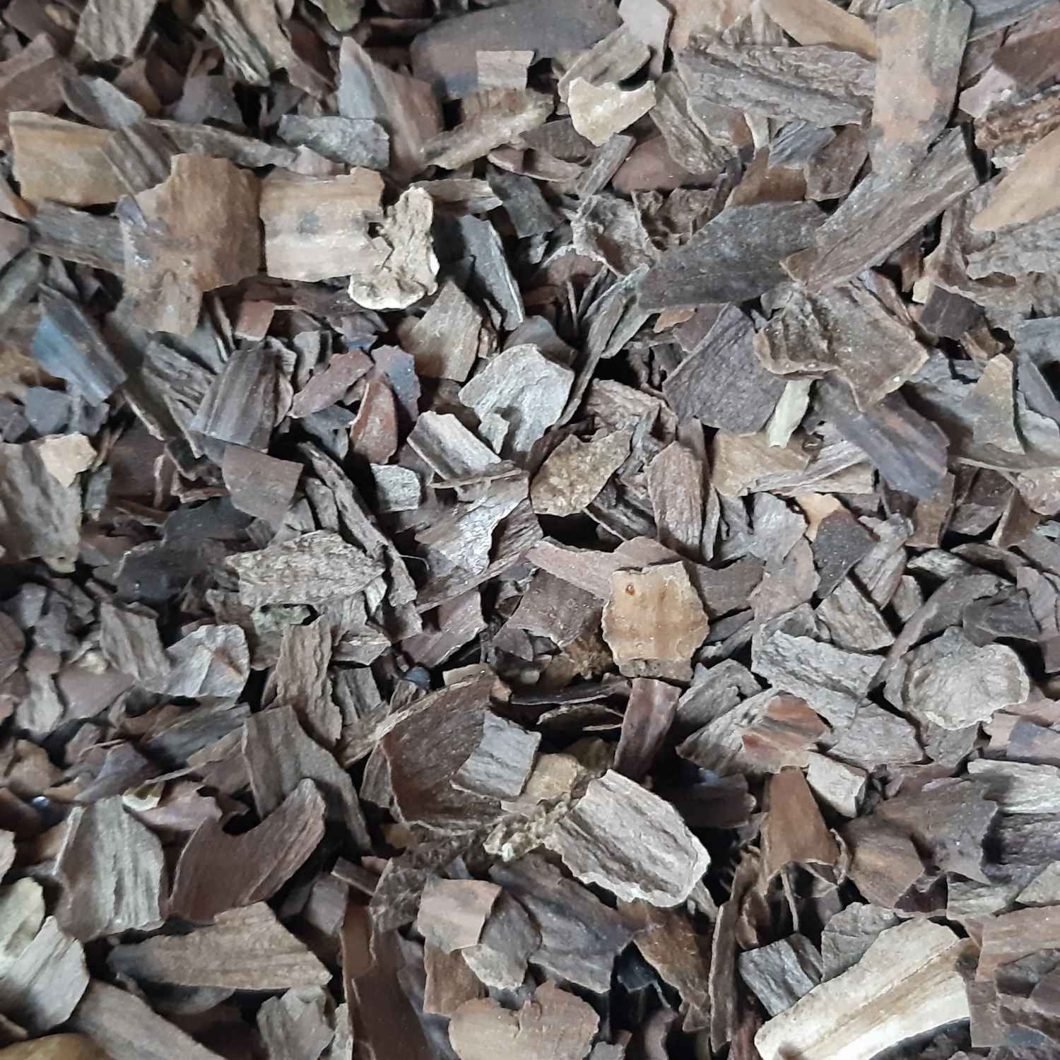 Dried Oak Barks Organic & Harvested from Iran 500 grams