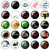 Islamic Pinback Button Set for Shia Muslims - Fatima Zahra