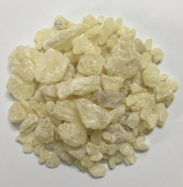 Mastic Gum (Mastika/Mastiha) - Natural Resin, 300 Gram