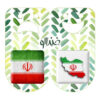 Persian Button Pin Set - Flag of Iran (2 pcs)