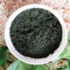 Dalal Mixed Mashed Herbs Seasoning for Fish - 1.5 Kg