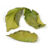 Organic Dried Iranian Lime Leaves - 700g